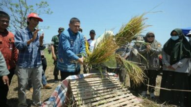 Munafri Dorong Pertanian Makassar Berbasis Teknologi di Tengah Keterbatasan Lahan