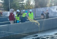 Pemkot Makassar Percepat Pembenahan TPA Tamangapa, Kolam Lindi Ditangani dengan EcoTru