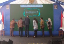OJK Dorong Digitalisasi Rumput Laut Sulsel, e-Seaweed Perluas Akses Pembiayaan Petani