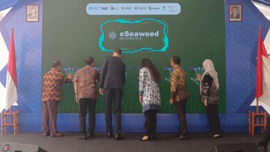 OJK Dorong Digitalisasi Rumput Laut Sulsel, e-Seaweed Perluas Akses Pembiayaan Petani