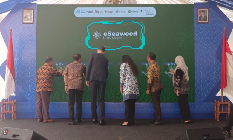 OJK Dorong Digitalisasi Rumput Laut Sulsel, e-Seaweed Perluas Akses Pembiayaan Petani
