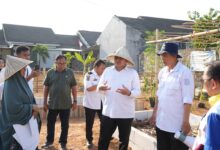 RPH Tamangapa Bakal Disulap Jadi Kawasan Peternakan dan Pertanian Modern