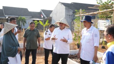 RPH Tamangapa Bakal Disulap Jadi Kawasan Peternakan dan Pertanian Modern