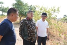 Lahan Makam Makassar Mulai Menipis, Pemkot Jajaki Lokasi TPU di Maros