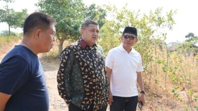 Lahan Makam Makassar Mulai Menipis, Pemkot Jajaki Lokasi TPU di Maros