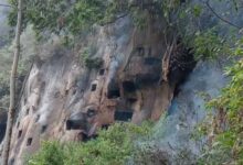 Api yang meluas tidak hanya membakar vegetasi di kawasan hutan dan lahan, tetapi juga menjalar hingga ke kuburan batu yang berada di tebing. Kuburan batu tersebut merupakan bagian dari tradisi pemakaman masyarakat Toraja yang memiliki nilai sejarah dan budaya.