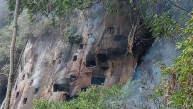 Api yang meluas tidak hanya membakar vegetasi di kawasan hutan dan lahan, tetapi juga menjalar hingga ke kuburan batu yang berada di tebing. Kuburan batu tersebut merupakan bagian dari tradisi pemakaman masyarakat Toraja yang memiliki nilai sejarah dan budaya.