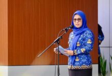 Mendagri Terbitkan SK Pemberhentian Husniah Talenrang, Darmawangsyah Muin Jadi Plt Bupati Gowa