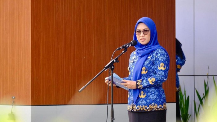 Mendagri Terbitkan SK Pemberhentian Husniah Talenrang, Darmawangsyah Muin Jadi Plt Bupati Gowa