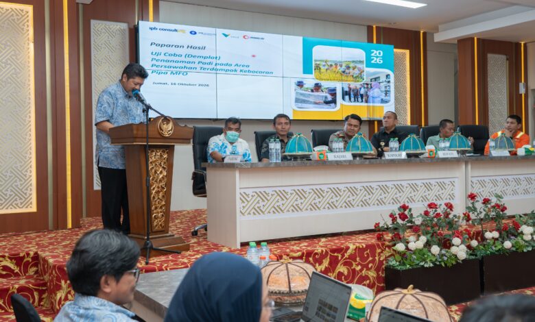 Lahan Pertanian Terdampak Tumpahan Minyak di Luwu Timur Dinyatakan Aman, Petani Siap Garap Musim Tanam Kedua
