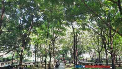 Fraksi Mulia DPRD Makassar Usulkan UPTD Khusus untuk Benahi Taman Kota