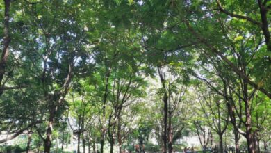 Fraksi Mulia DPRD Makassar Usulkan UPTD Khusus untuk Benahi Taman Kota