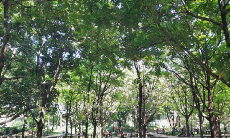 Fraksi Mulia DPRD Makassar Usulkan UPTD Khusus untuk Benahi Taman Kota